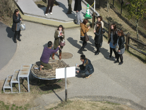 兵庫県立コウノトリの郷公園