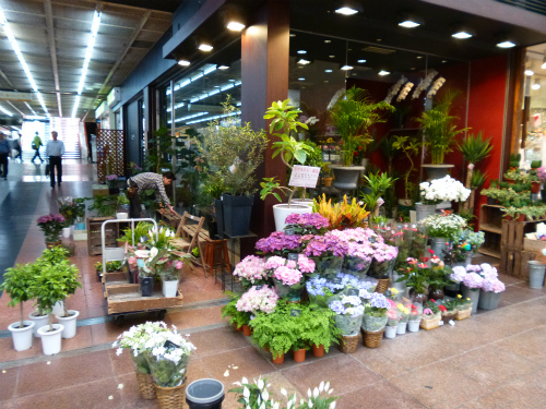 西宮駅周辺にあるお花屋さん3選 フラワーアレンジメントから観葉植物まで Pathee パシー
