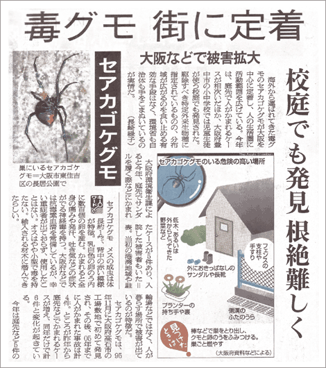 2007年10月6日（土）朝日新聞朝刊の「毒グモ街に定着」の記事