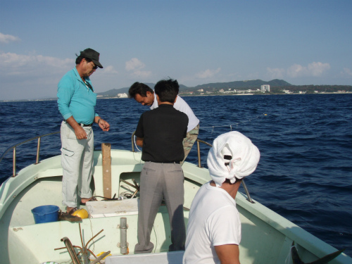 沖縄でシーラ漁