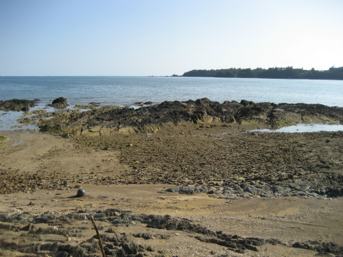 金武湾の宜野座村の海辺が、赤土で汚染されていました