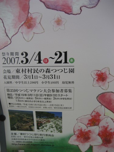 東村村民の森つつじ園のポスター