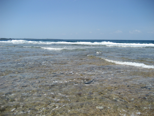 すっかり潮は引いて、珊瑚の岩が空気に触れるところまで来ています
