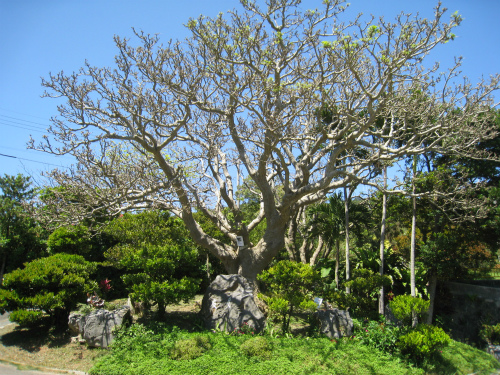 沖縄県立石川少年自然の家