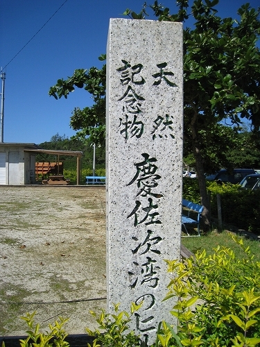 沖縄　東村