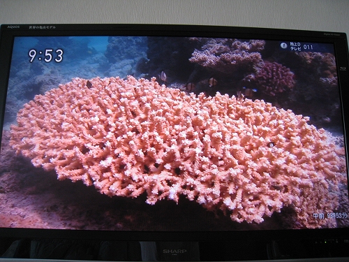 珊瑚礁再生