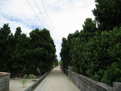 いい写真撮りたいな：「渡名喜島の道」