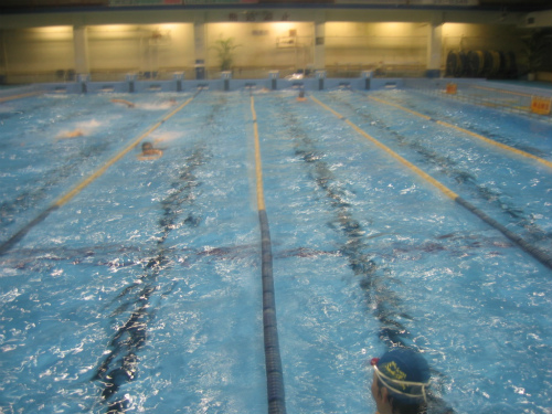神戸商科大学水泳部の新春の練習