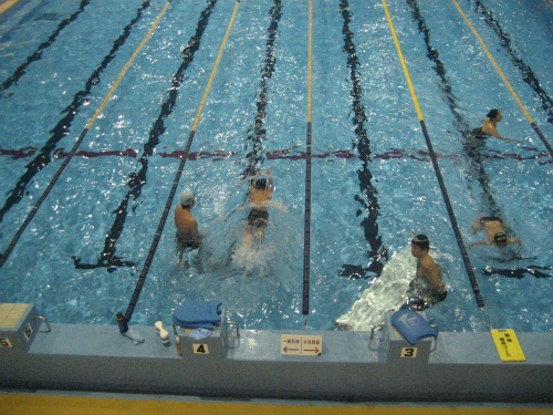 兵庫県立大学体育会水泳部　秋季練習