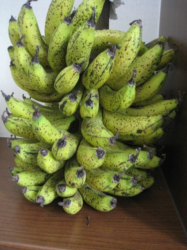沖縄恩納村産バナナ