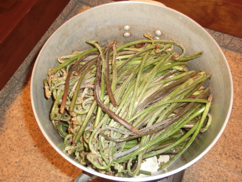 立体農業とは、果樹園芸や畜産などを総合的に取り入れ、空間を立体的に利用して行う農業です。久宗立体農場から、素晴らしい