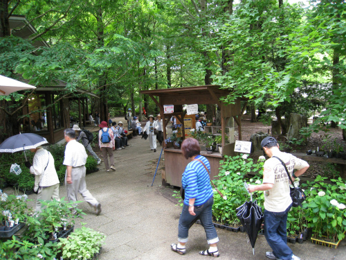 六甲森林植物園