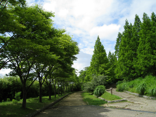 六甲森林植物園