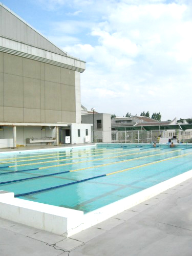 商大キャンパスの水泳部