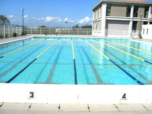 商大キャンパス水泳部～今年最後の野外練習～